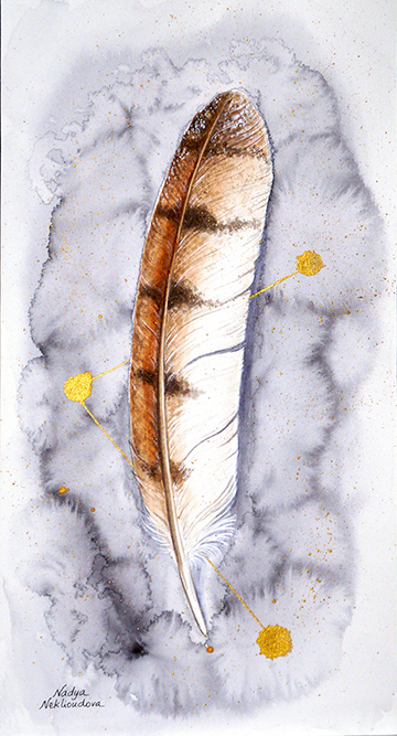 A mystical watercolour painting of a Barn Owl feather, softly patterned, set against a light wash of grey, with diagonal gold splatter and patterns suggesting stars.