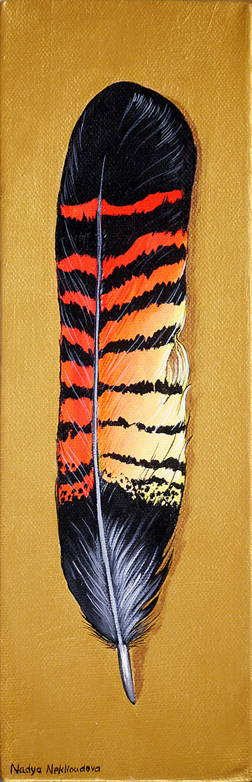 A tall canvas with a golden acrylic background, displaying a black cockatoo’s striking tail feather as if in a collection. The feather is striped with black, red and yellow.