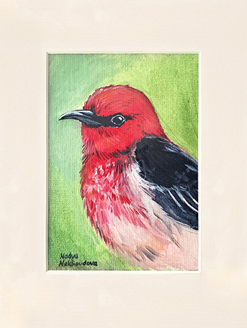 A sweet little 5x7-inch acrylic painting of a bright-red male Scarlet Honeyeater.