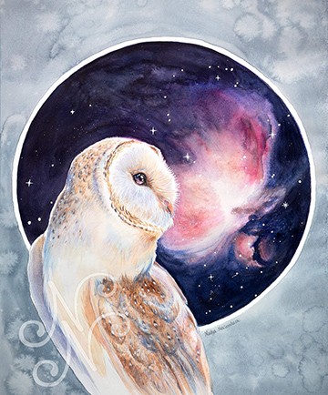 A watercolour painting of a Barn Owl, sitting with folded wings and looking back over its shoulder. Behind the owl is a circle, suggesting the field of view of a telescope, and a watercolour version of the Orion Nebula in pinks, mauves and purples. Outside the circle and behind the Owl is a grey textured background wash.