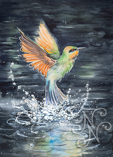 A Rainbow Bee-eater splashes into the water and emerges to fly upwards. The bird’s wings are painted loosely as to convey their flapping motion. Underneath and all around the bird are splashes of water droplets, chaos against an otherwise calm green backdrop of a forest pond.