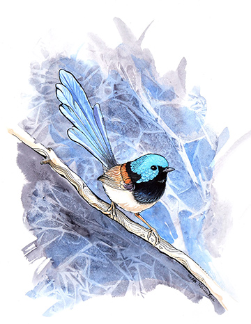 This adorable Variegated Fairy-Wren seems to pop with colour and pattern from the cool blue background.This illustration features fun, surprising geometric patterns on the feathers of the wren and the branch he is perching on. The textured abstract background suggests a forest thicket of branches.