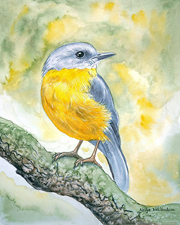 A watercolour painting of a Yellow Robin, perched on a diagonal tree branch, with a green and yellow background wash.