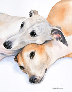 Two Whippets